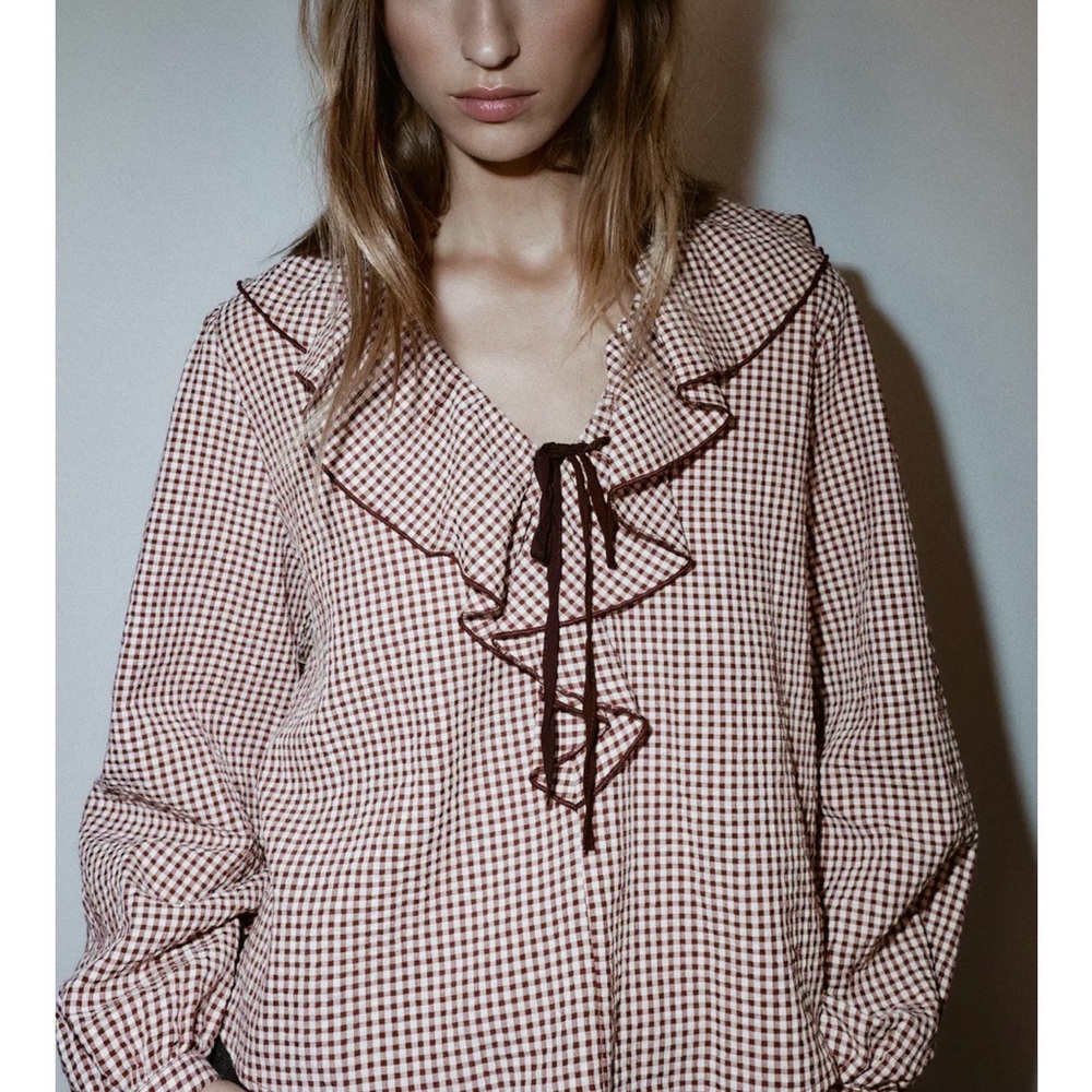 Zara Brown and White Gingham Ruffle Tie Blouse new with tags size small